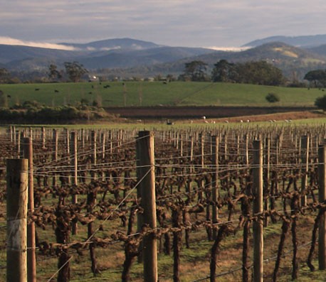 卡密网站推荐的免费ddos压力测试平台